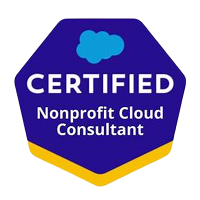 Non-profit cloud consultant